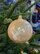 Vánoční koule TETRAO metalická smetanová - jelen 6 ks